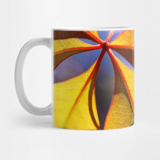 In The Mood For Some Colour Mug